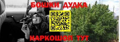 сатива Гай