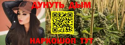 сатива Гай