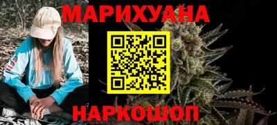сатива Гай
